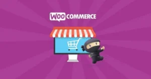 Theme-WooCommerce Bookings 2.2.9